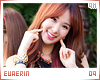 ge-euaerin09