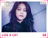 mv-likeacat08