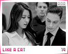 mv-likeacat19