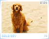 mv-soloday14